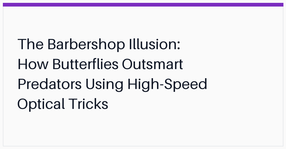 the-barbershop-illusion-how-butterflies-outsmart